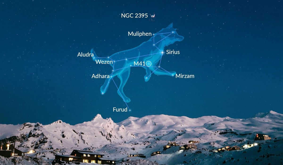The star Sirius is located in the constellation of the Big Dog