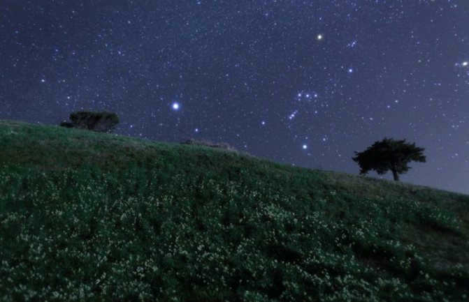 The brightest star in the Northern Hemisphere