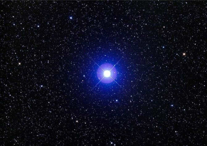 Vega