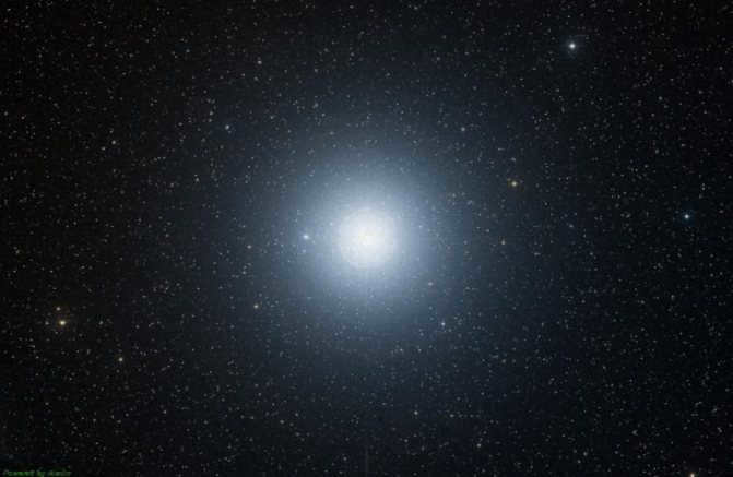 Procyon