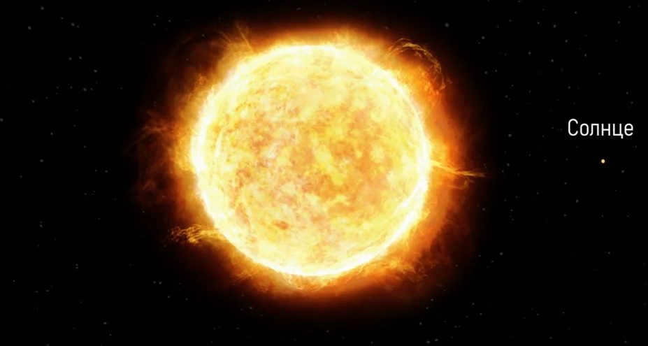 UY of the Shield compared to the Sun