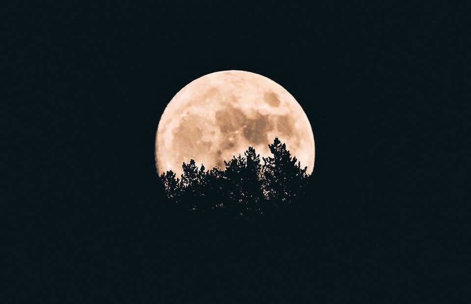 4 phases of the moon: what they mean and how they affect us 