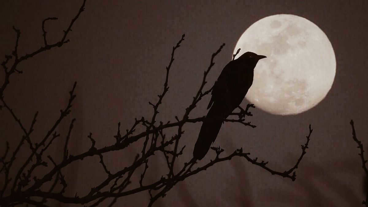 full moon