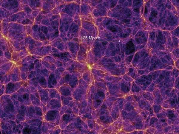 Galactic walls resemble neurons in the human cerebral cortex.