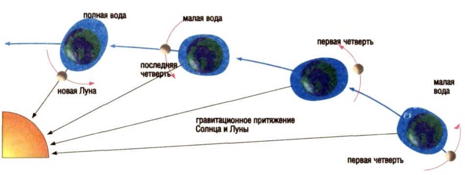How tides occur