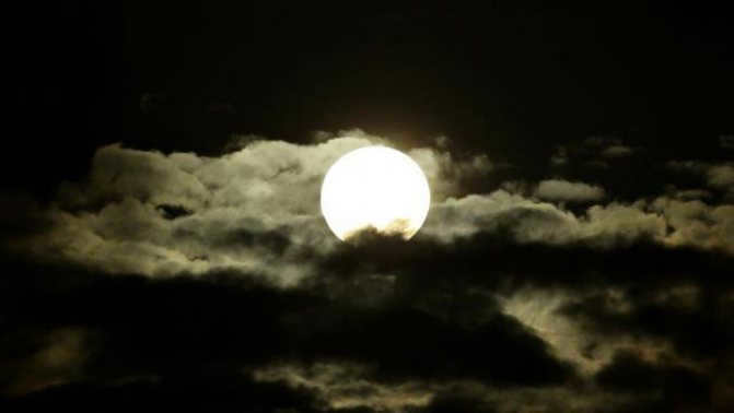 moon mass