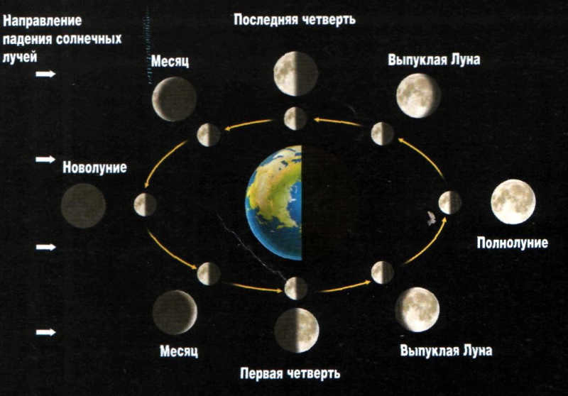 Phases of the Moon depending on the Sun's illumination