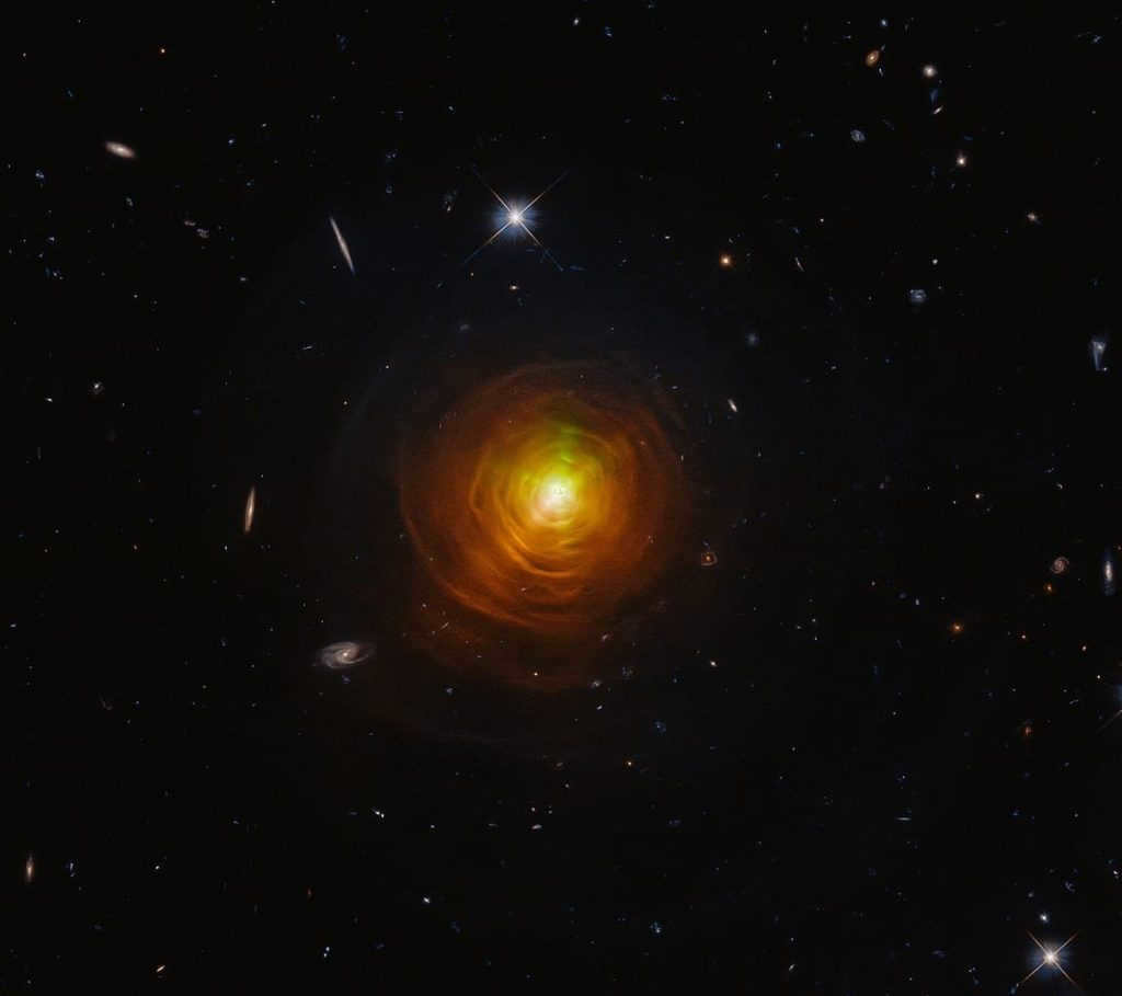 The biggest stars in the Universe: Top 10