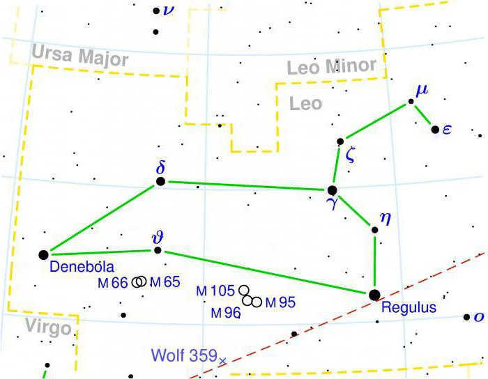 The constellation of Lions: location and bright stars