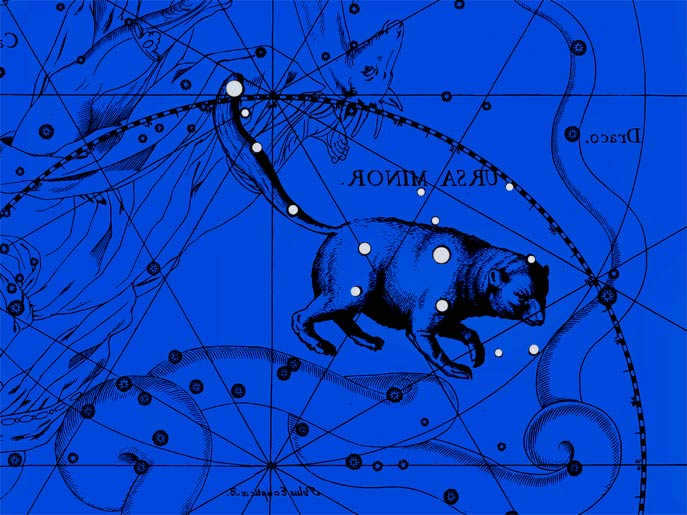 The constellation of the Little Dipper. Collage based on the atlas of Jan Hevelius