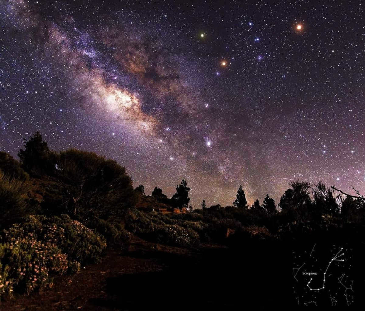scorpion constellation