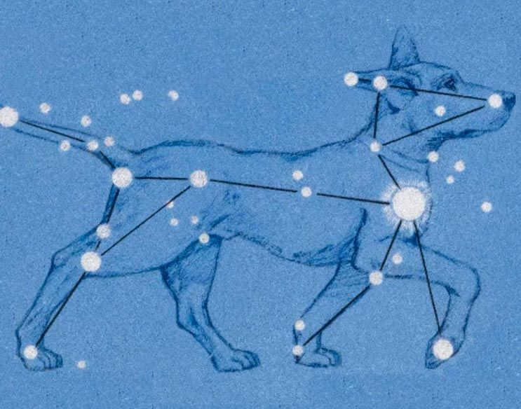 Sirius is a white bright star that was thought to be red in the past