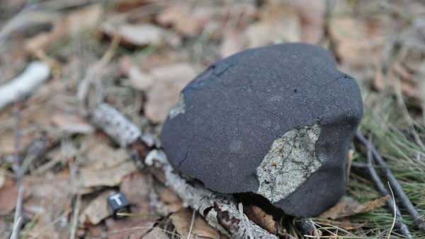 A fragment of the Chelyabinsk meteorite.