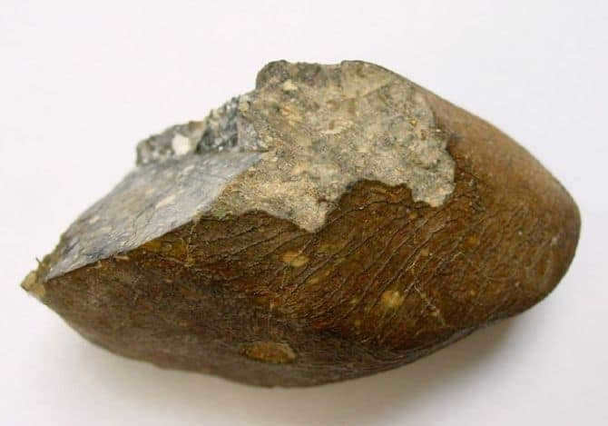 Lunar meteorite