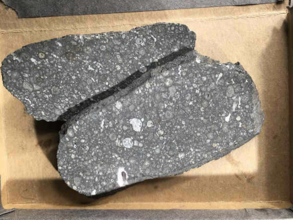 Carbonaceous chondrite.