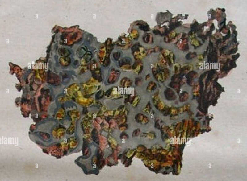 Most Amazing Meteorites