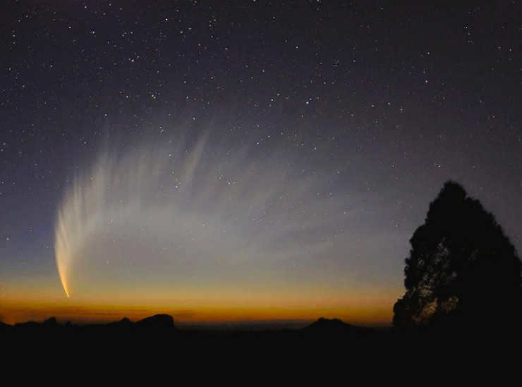 Comet McNaught