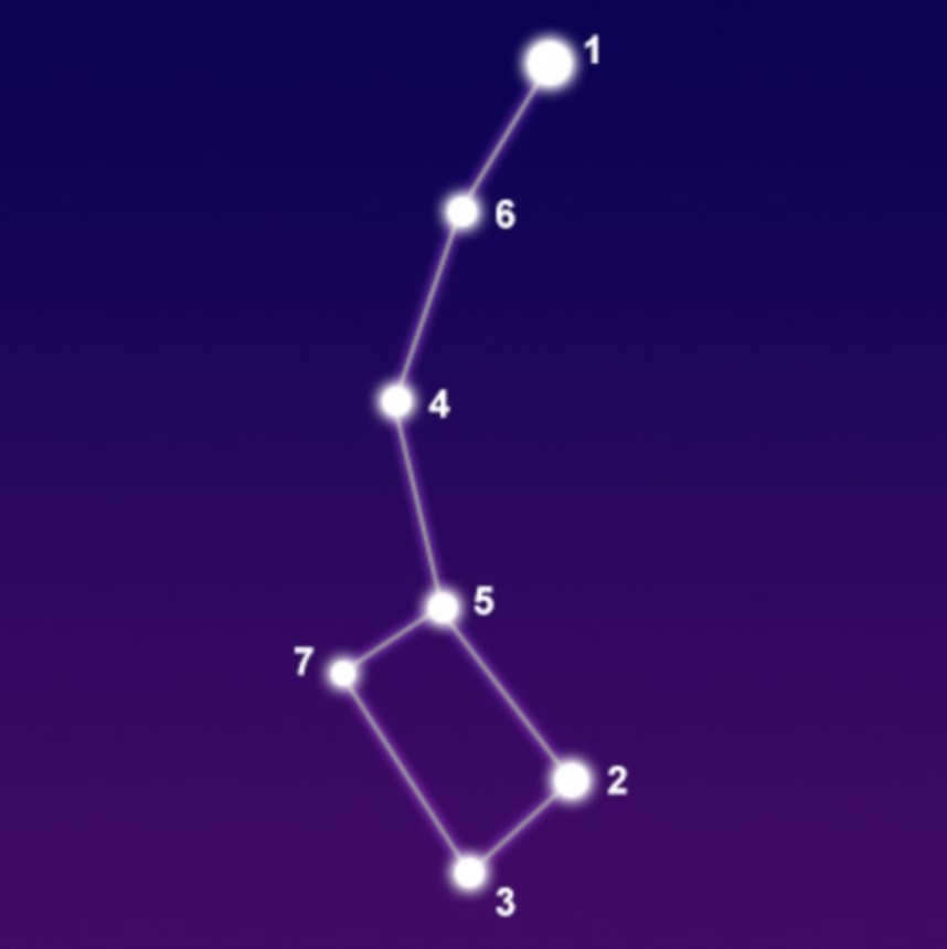 Schematic: Minor Bear