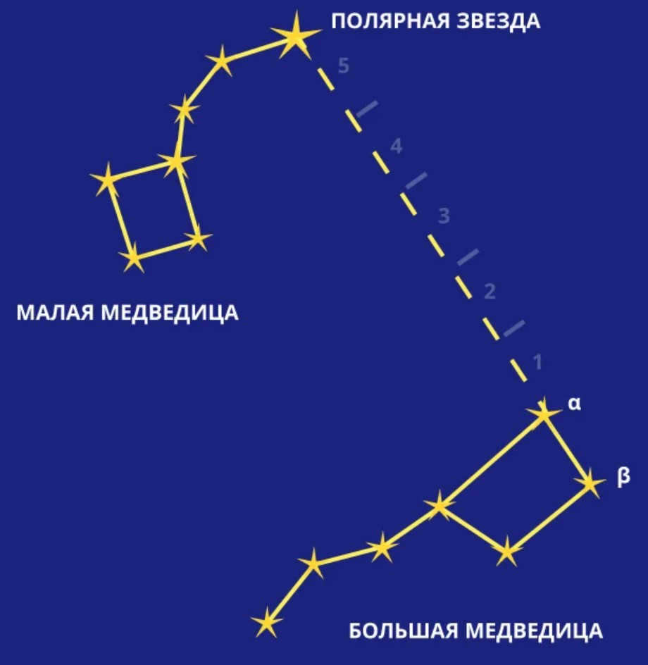 Locations of the Little Bear and the Big Bear