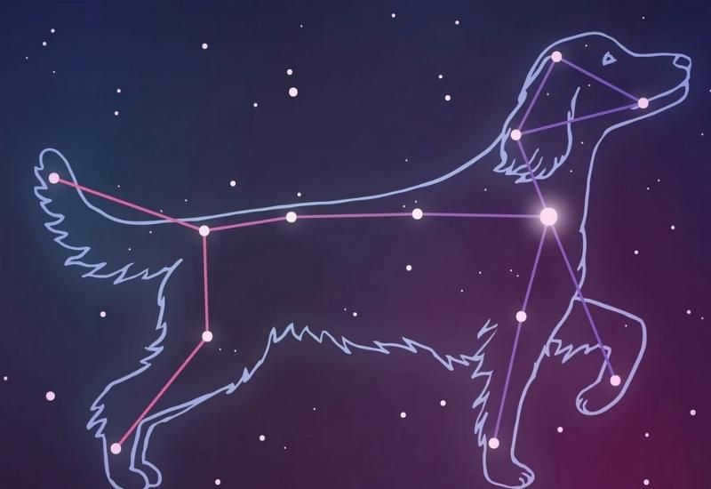 Big Dog Constellation
