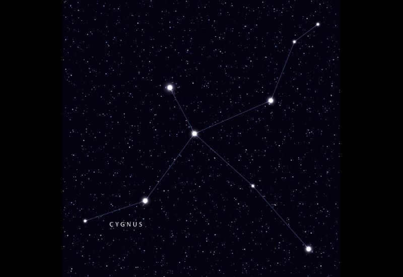 Swan constellation