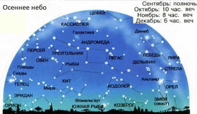 Which constellations are visible in the fall