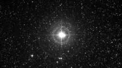 the largest type of star