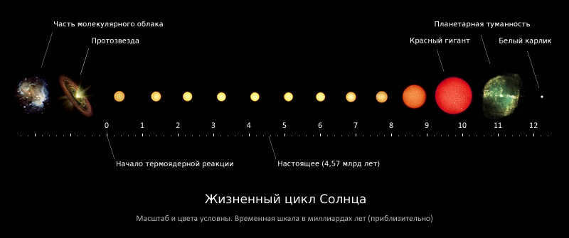 An example of a hypergiant is UY Scuti, the largest star in our galaxy. It is 9500 light years away from us and has a diameter of 2400 million kilometers.