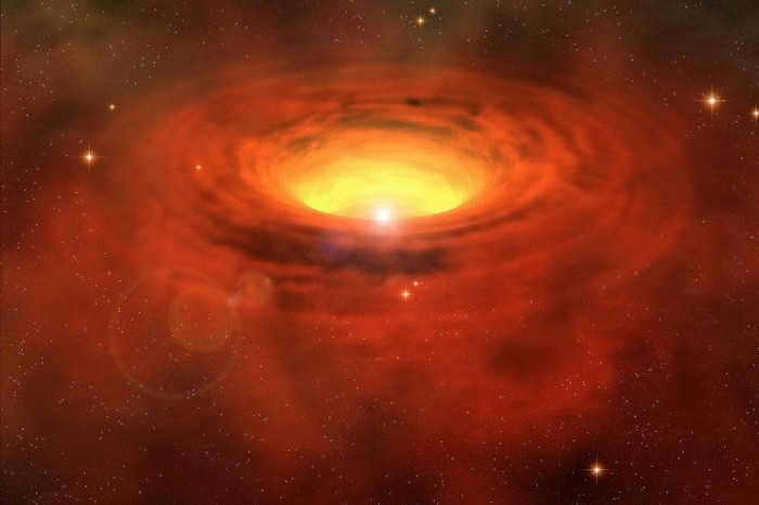 Biggest stars in the Universe
