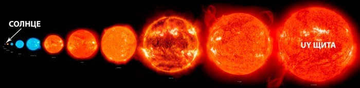 UY of the Shield compared to the Sun