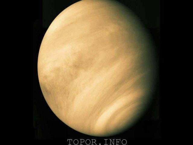 Venus