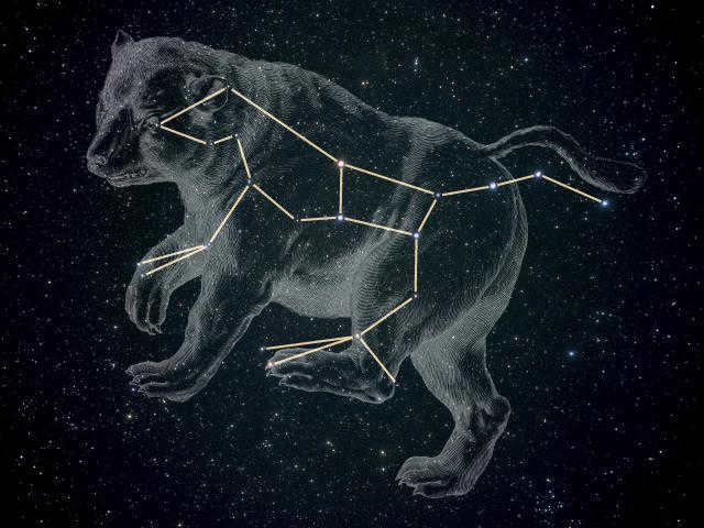constellation of the bear