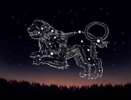 star constellations