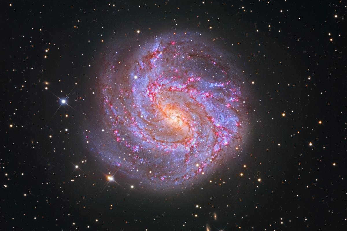 Southern Spiral Galaxy