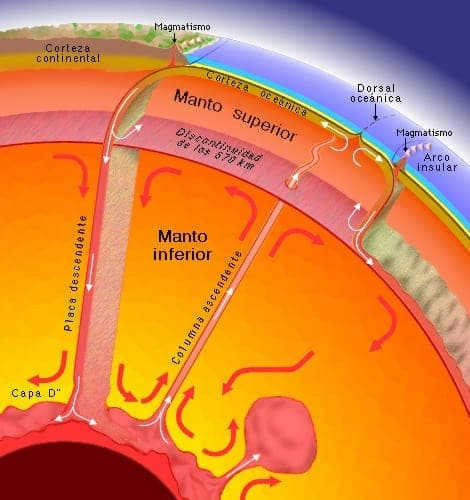 Structure of the Earth's outer and inner mantle