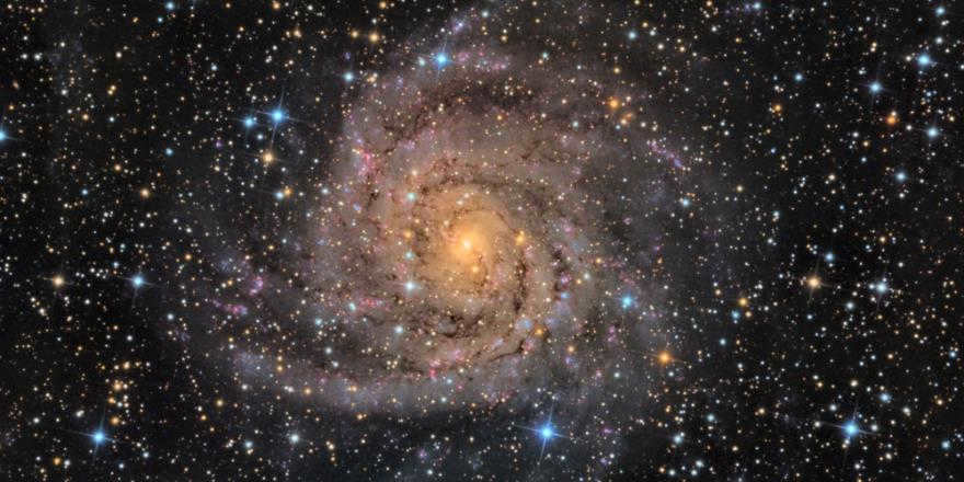 IC 342 is 11 million light years away. This galaxy belongs to a loose group along with several others. IC 342 has a low surface brightness and is located in Camelopardalis (Giraffe constellation), near the plane of the Milky Way. So it will be difficult for amateur astronomers to identify it, despite its elegant shape. (Photo: Tony Hallas)