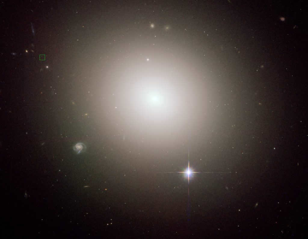 Galaxies: what are the different species 17
