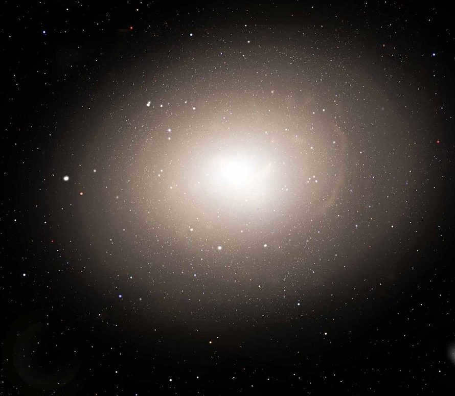 Galaxies: what are the species 19