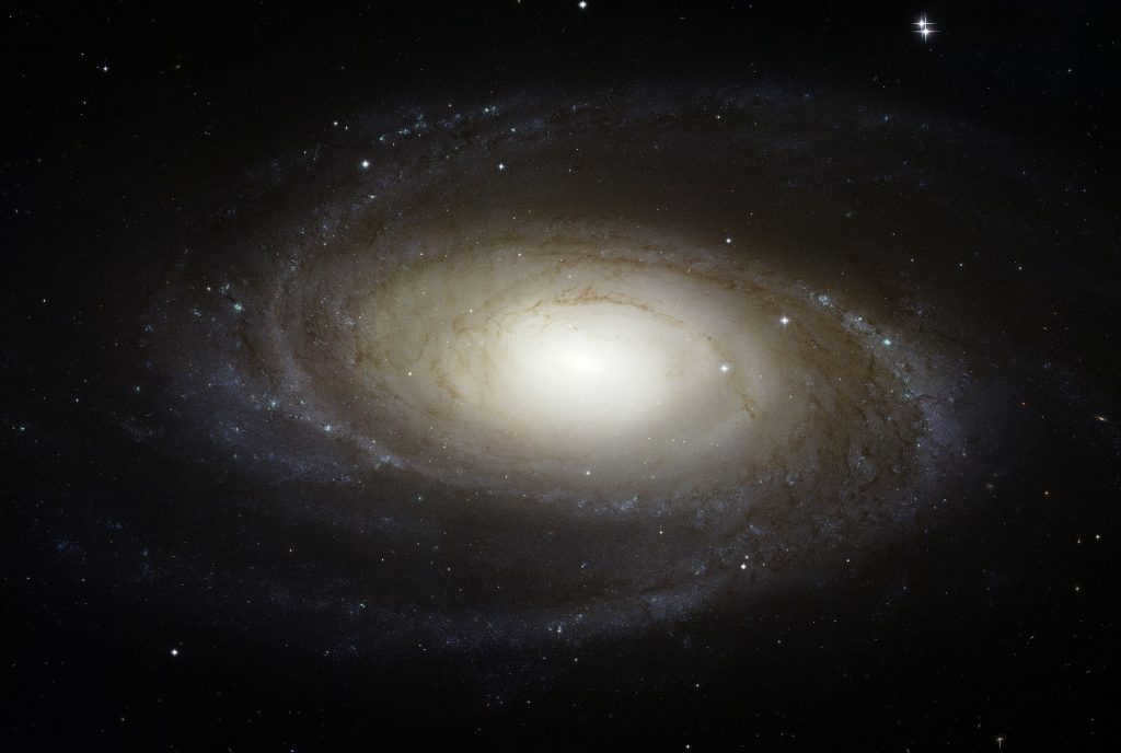 Galaxies: what are the different species 4