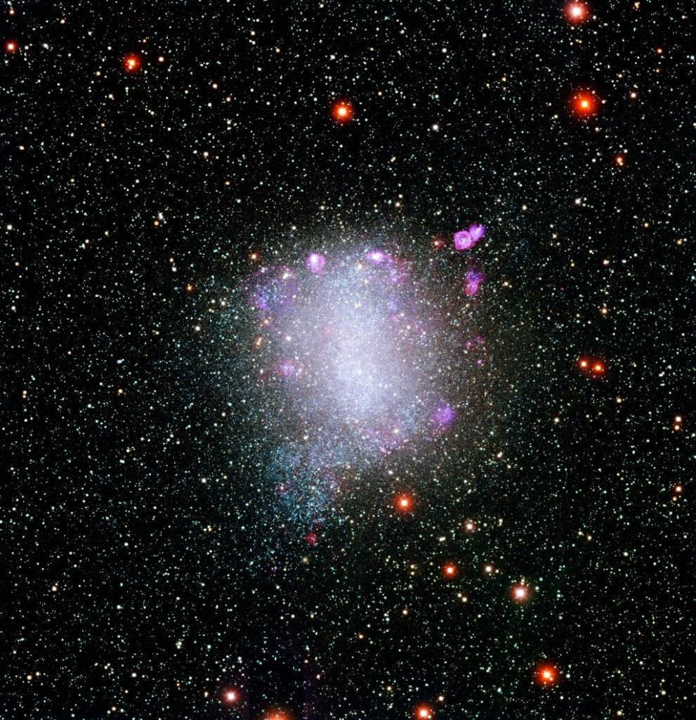 Galaxies: what are the species 9