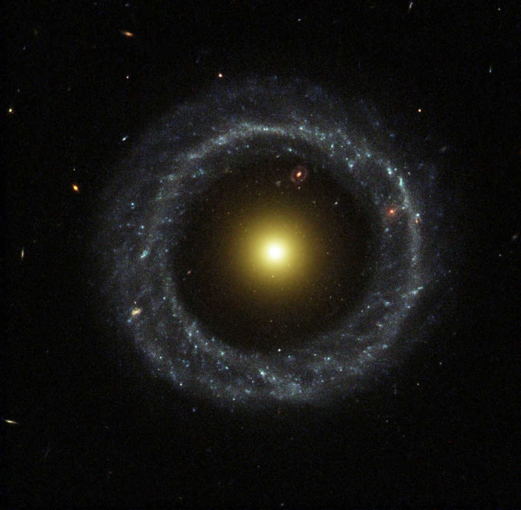 Galaxies: what are the species 26