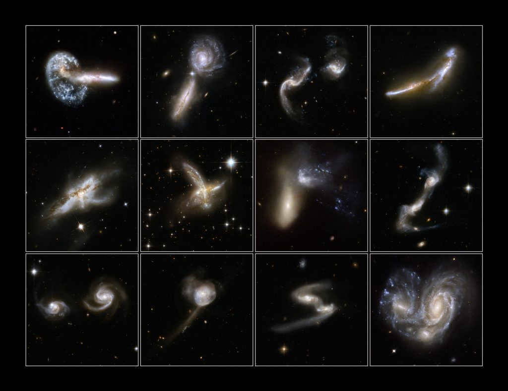Galaxies: what are the different species 10