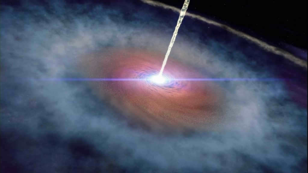 Galaxies: what are the different species