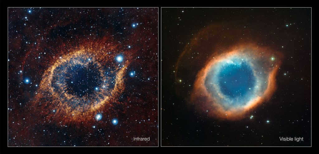 Galaxies: what are the species 20