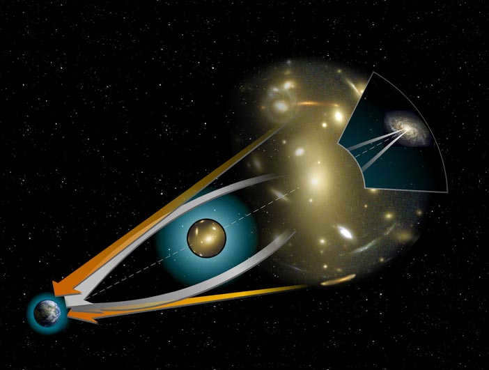 Galaxies: what are the species 2