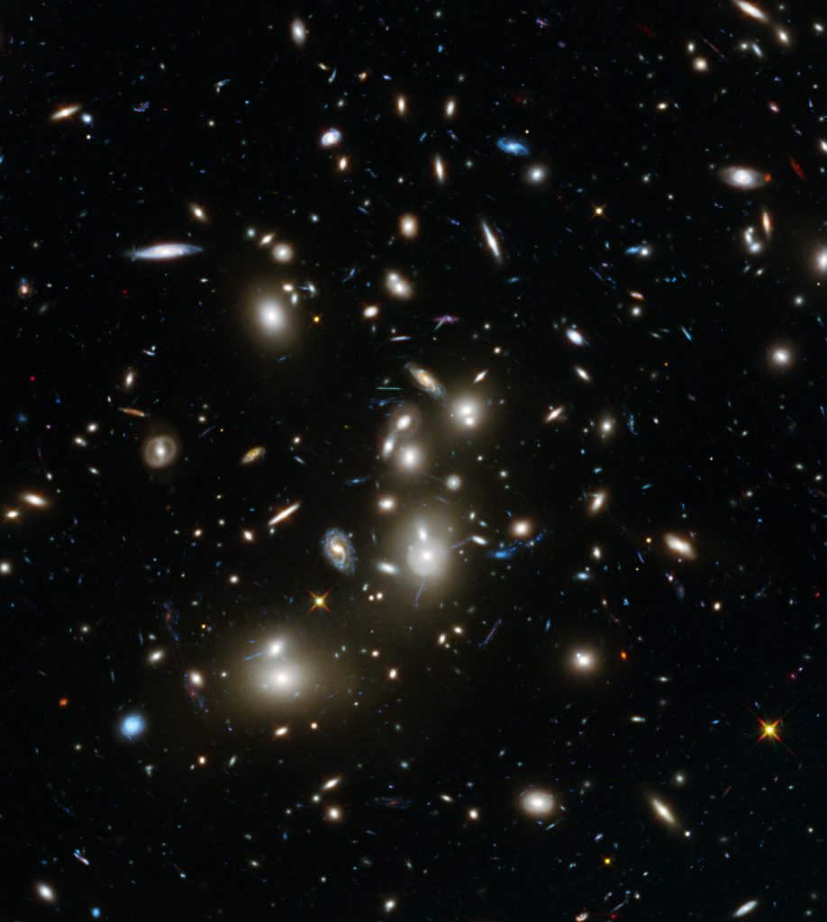 Galaxies: what are the different species 22