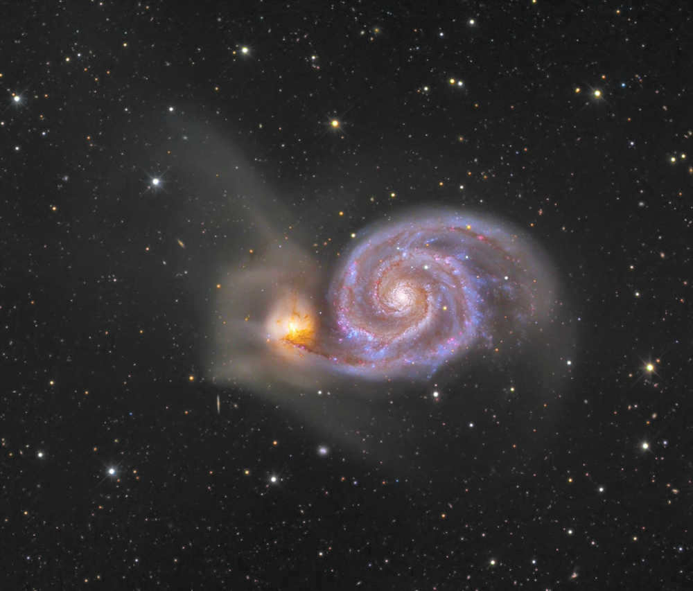Galaxies: what are the species 28
