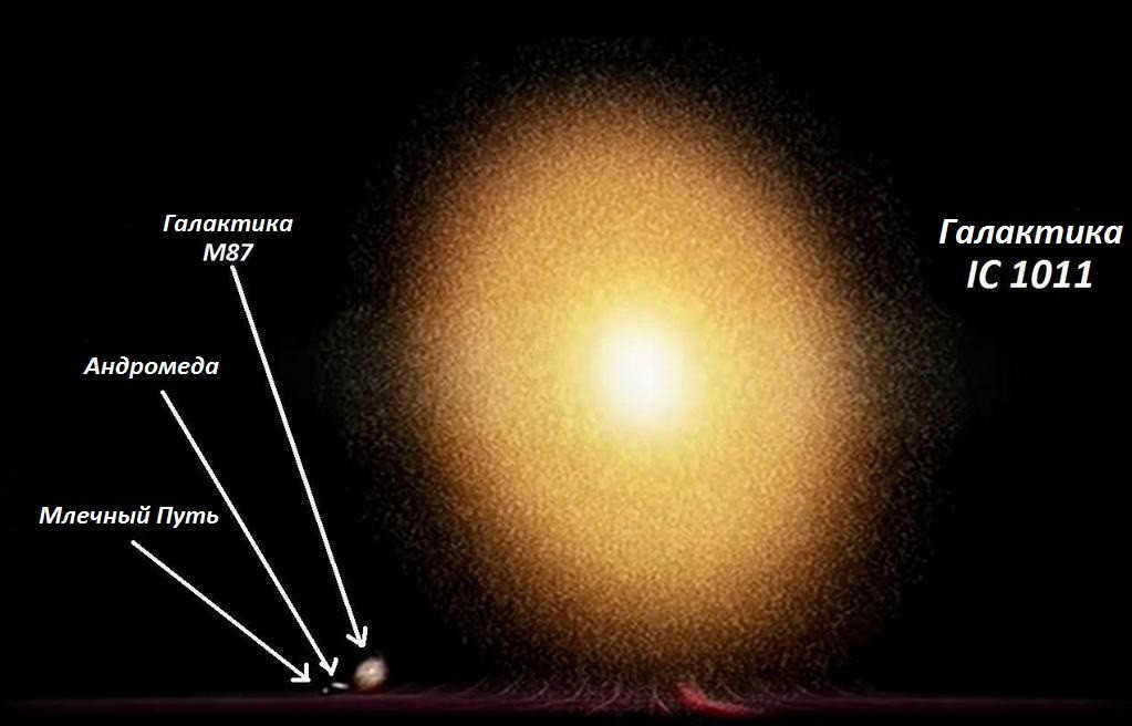Size Comparison
