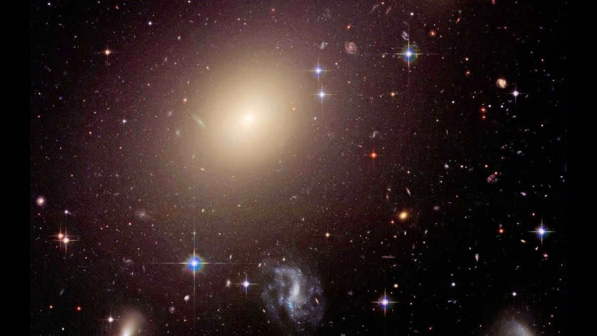 The largest galaxy