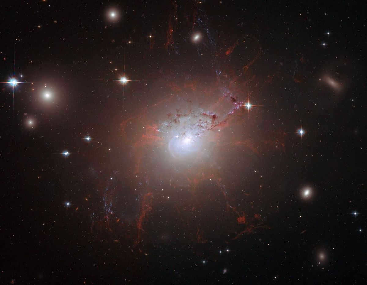 Perseus A, also called NGC 1275, is an eruptive galaxy at the core of the Perseus Cluster, which consists of about 1,000 galaxies about 240 million light-years away. The dominant member of the Perseus Cluster, Perseus A is a Seyfert galaxy with an active nucleus powered by a black hole with a mass of 340 million solar particles at its core (Photo: Hubble Legacy Archive, ESA and NASA)